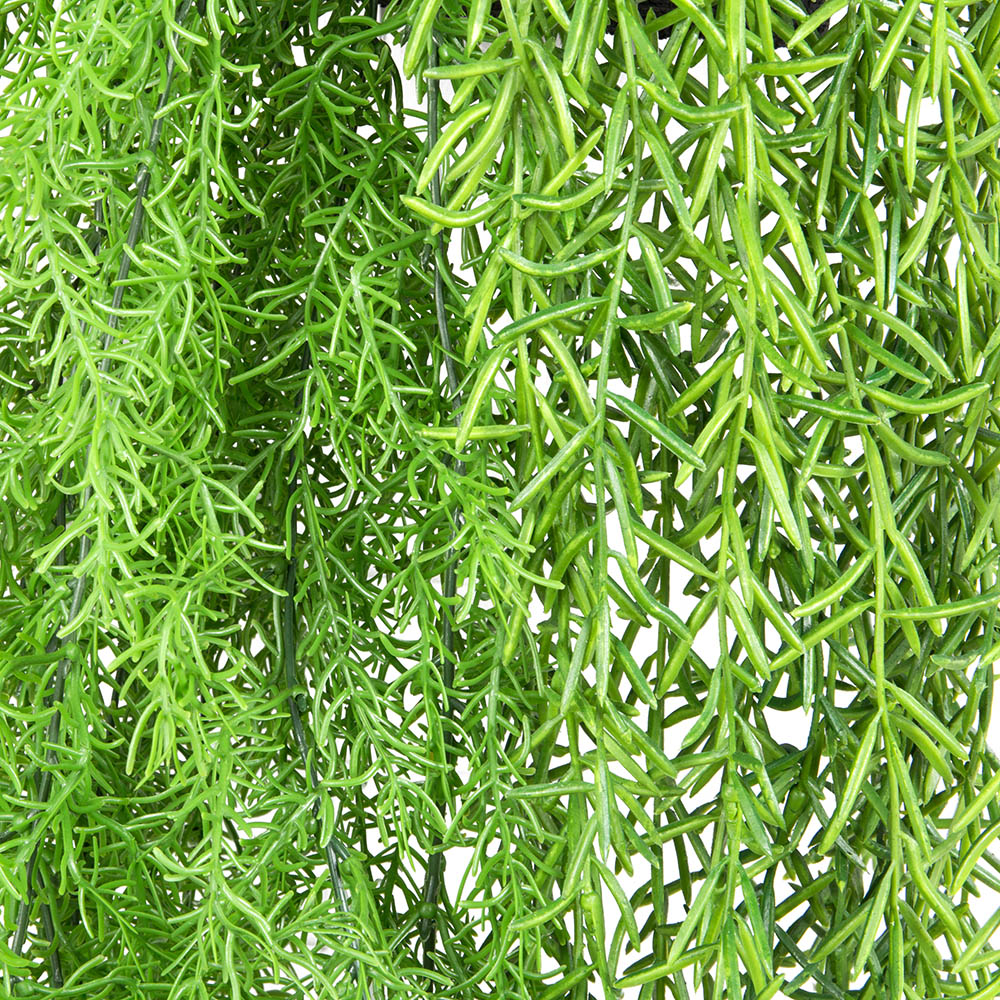 БК 24 Композиция с палочником на блоке 15*h10_3