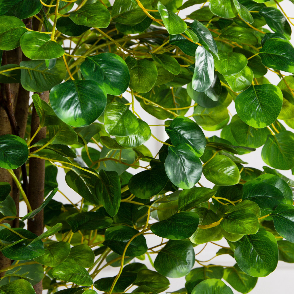 180/РН/709(FixS)(Пр)(F)Фикус Панда искусственный h180см_5