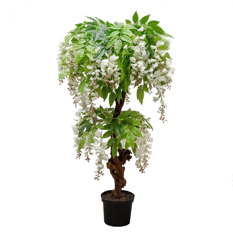 120/Я2/ОС/424-1 Глициния(вистерия) белая h120см (латекс)