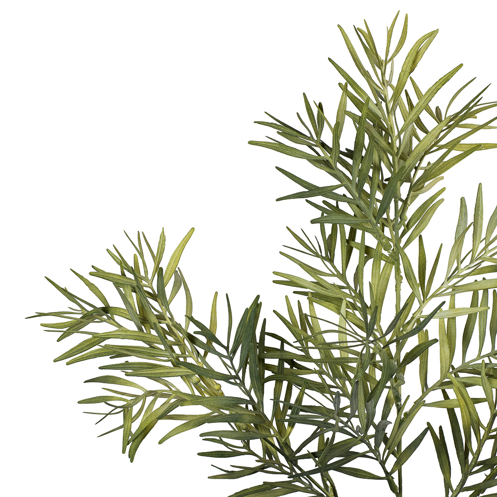 7143/0016-37/22 ветка 