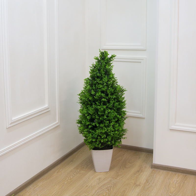 СК110/228(з.) Самшит-конус эвкалипт 