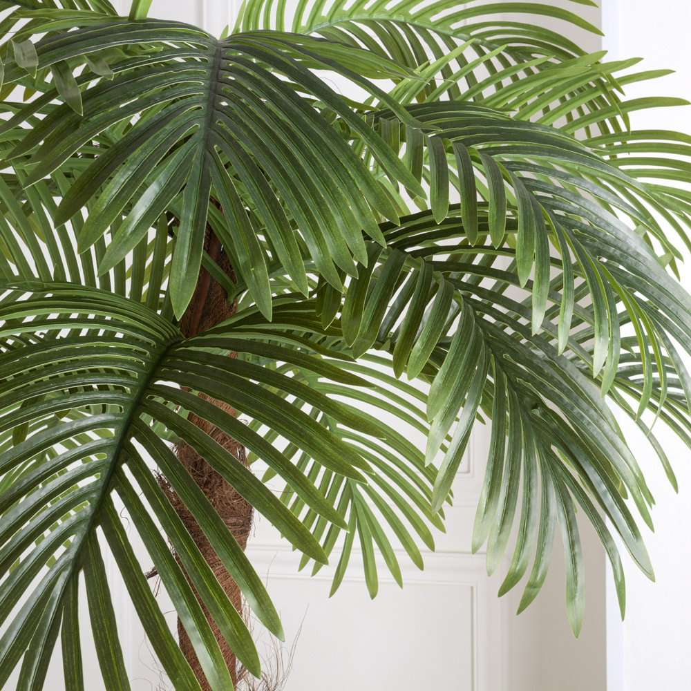 П170/2К/50 Пальма искусственная h170см (латекс) _7