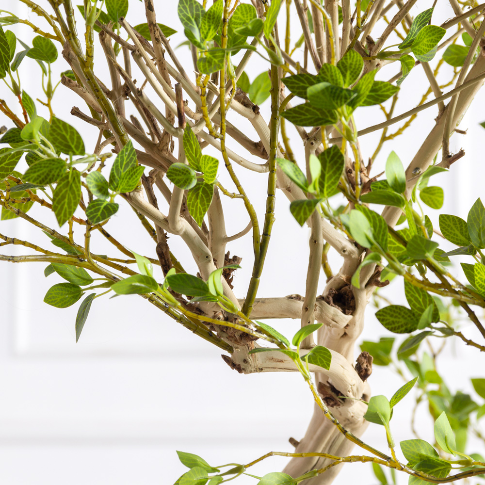 БЛ190/Д3/619(Пр)(F) Бонсай искусственный лиственный h190см_5