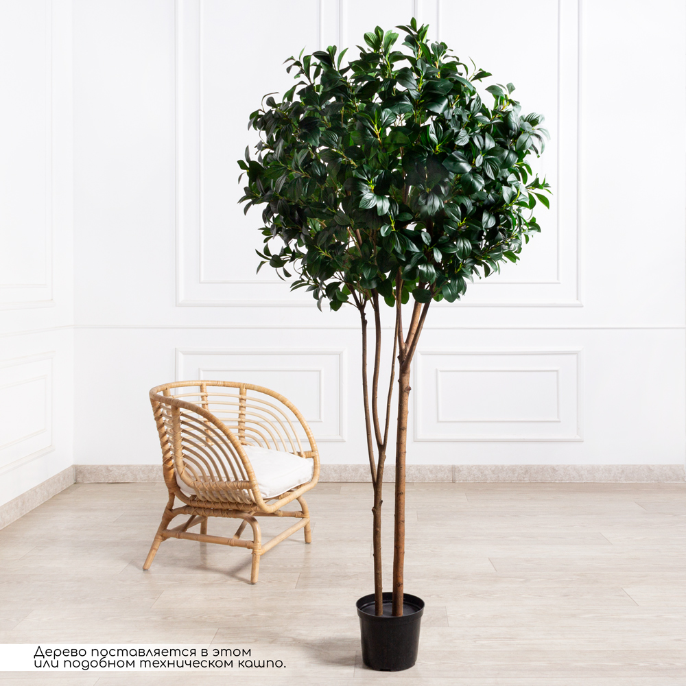 200/РН/64(Пр)(F) Рускус искусственный h200см (латекс) _1