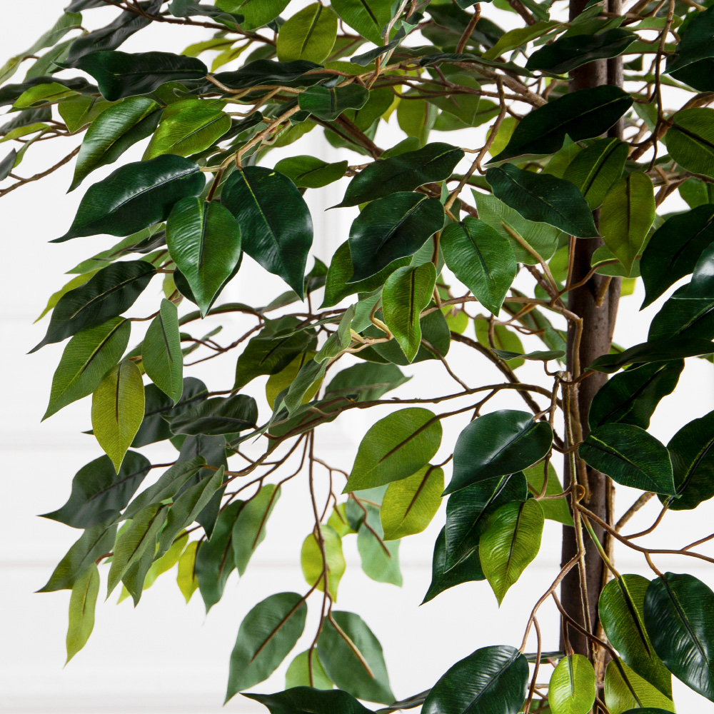 180/РН/ЭК/34(Пр)(F) Фикус искусственный h180см,(латекс)_4