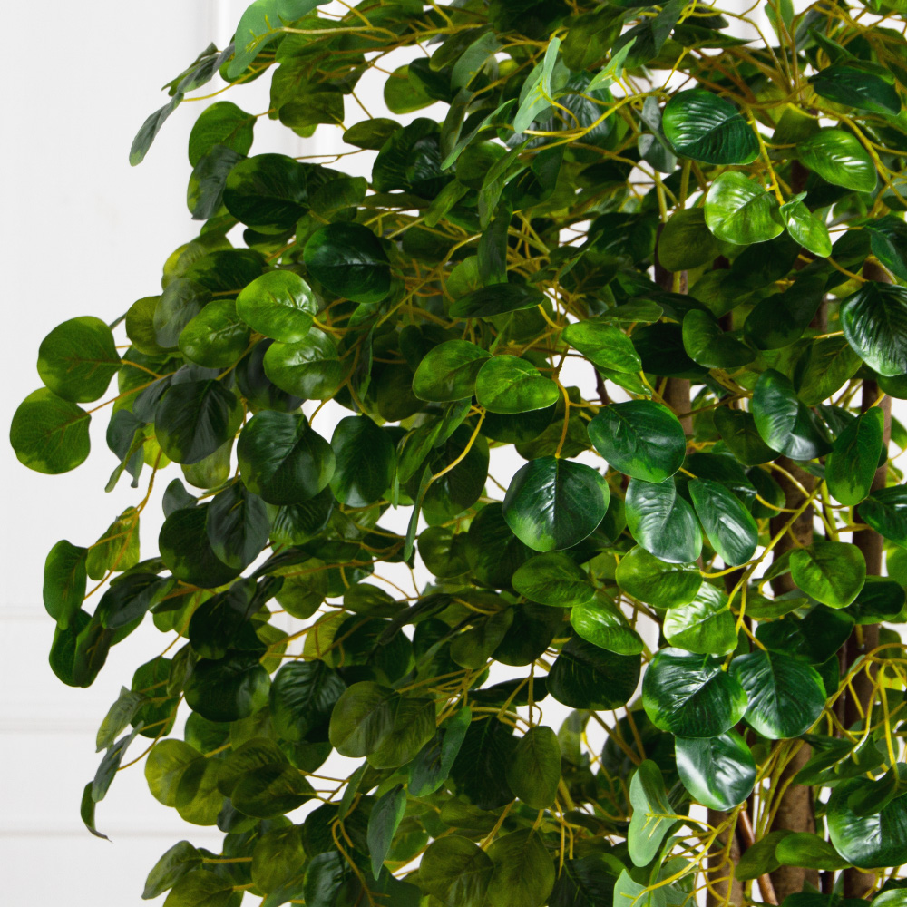 180/РН/709(FixS)(Пр)(F)Фикус Панда искусственный h180см_3