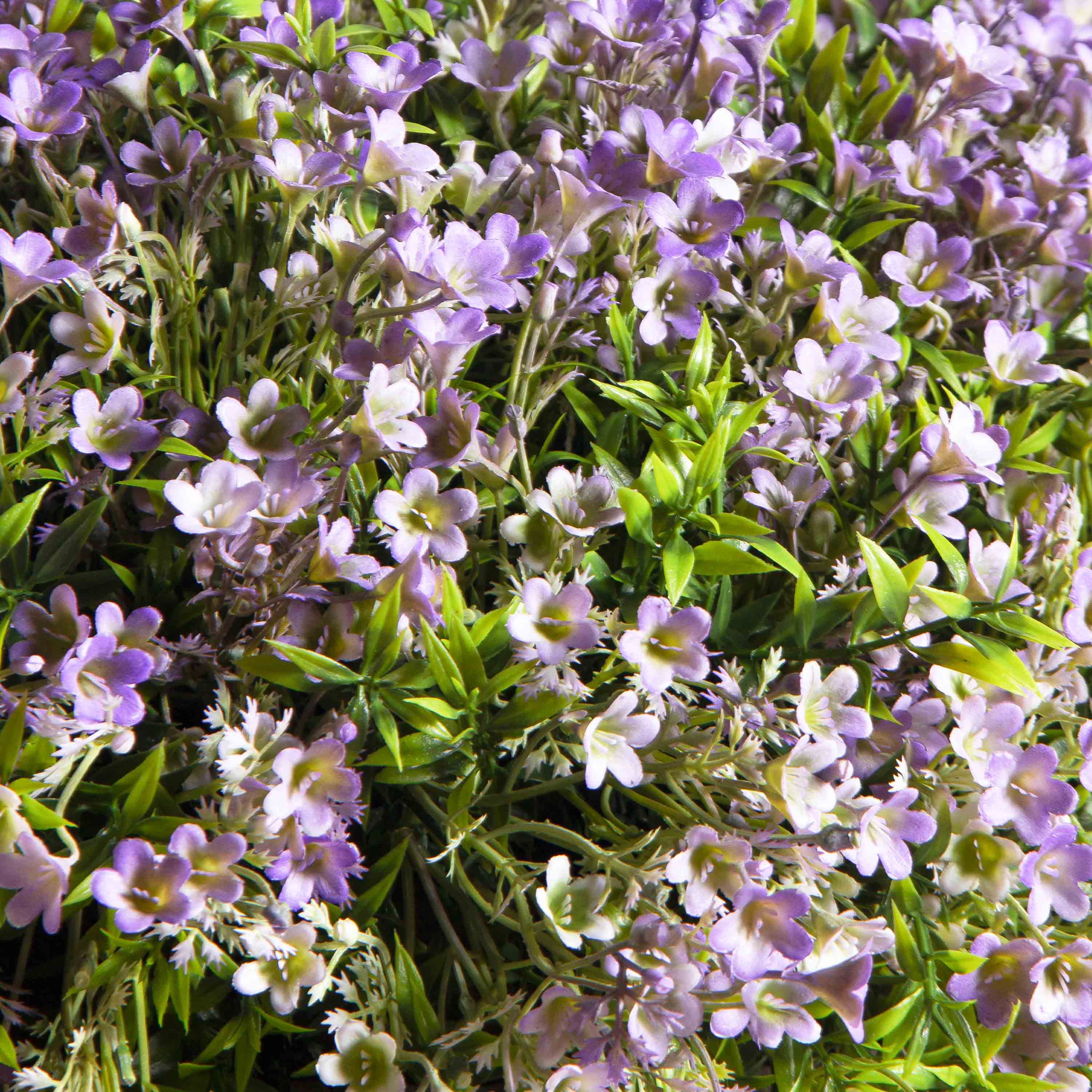 КС45-2(з)(F) Кампанула искусственная ампельная на основании d43см, фиолет_5