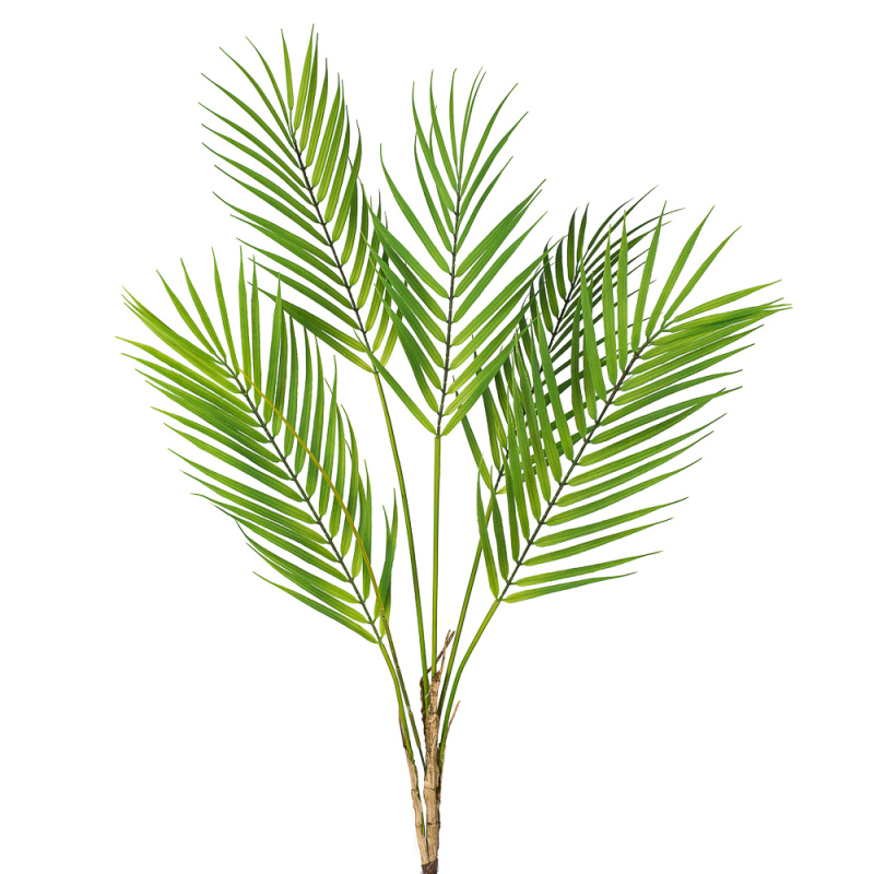 7143/0117-60 Пальма Арека кустовая (5листов) h=85см (50+35)