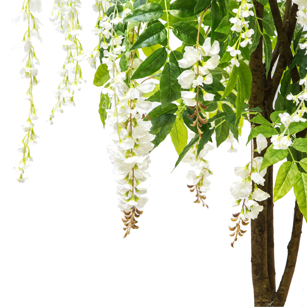 190/РН/424-1 Глициния (вистерия) белая, h190см(латекс)_2