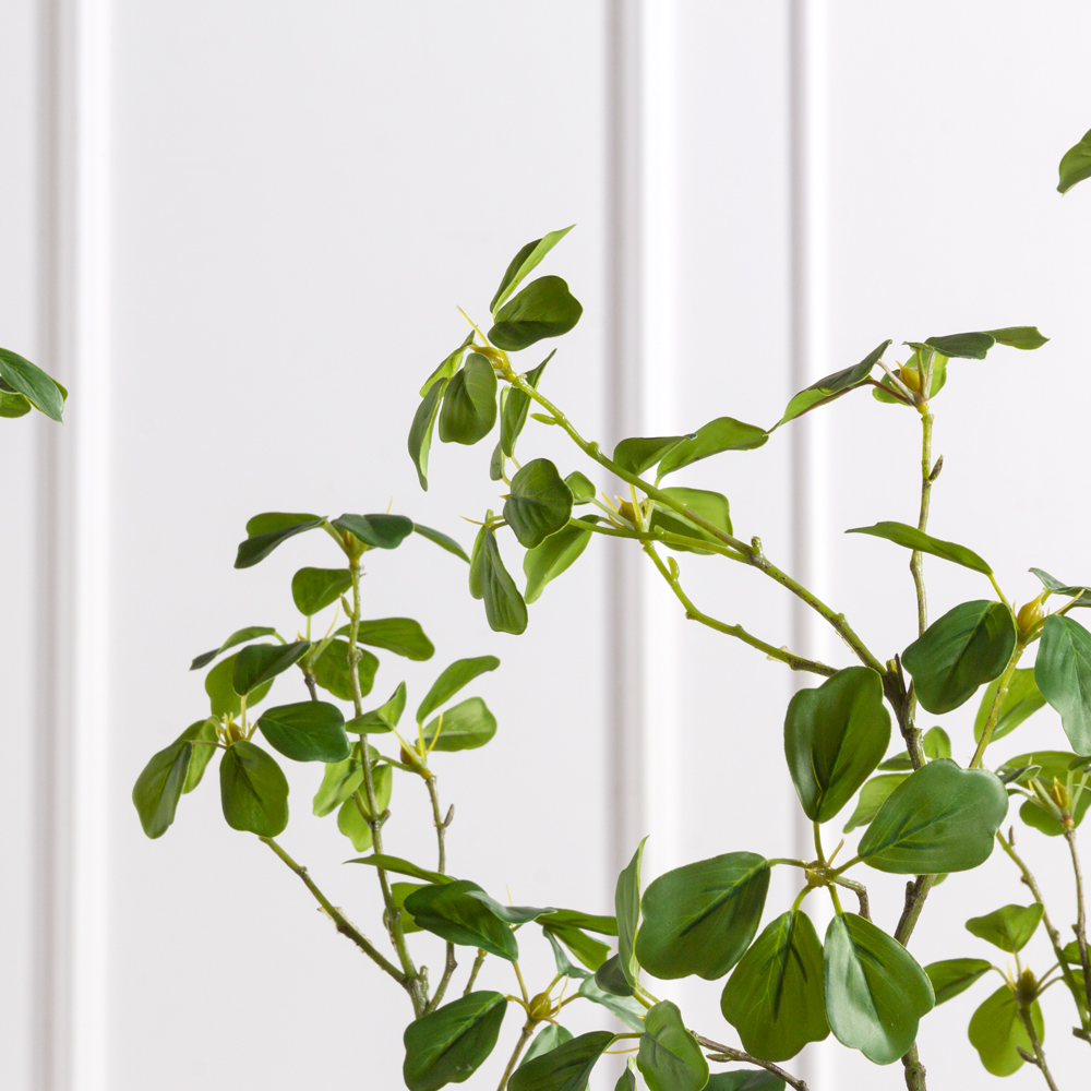 210/РН/ОК/534(Пр)(F) Шефлера Компакта искусственная h210см_4