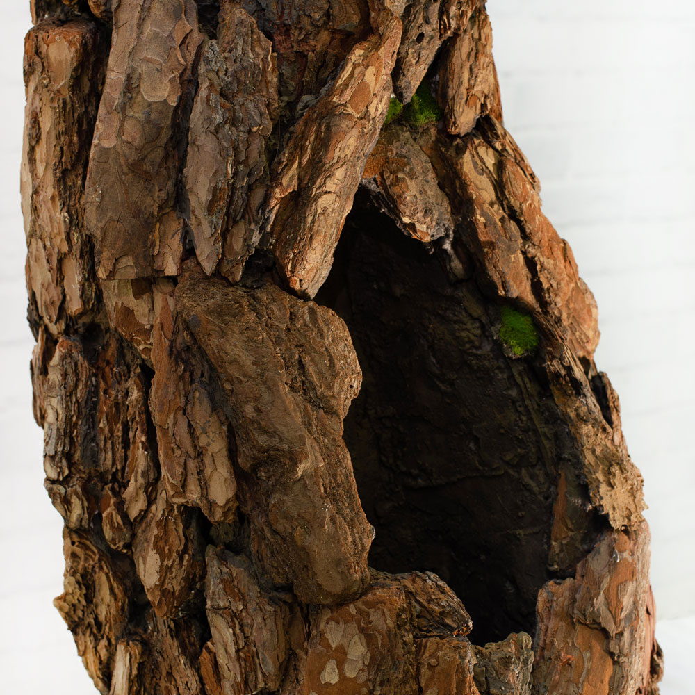 400Разб./нат/224(з.) Сосна с натур.корой h-400см_4