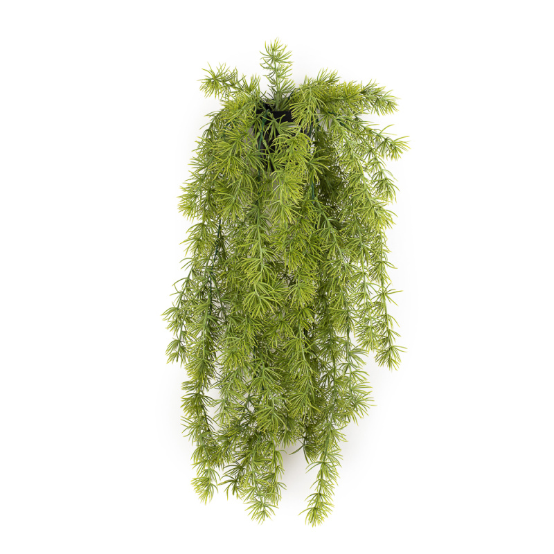 КС71 Лиственница ампельная в кашпо