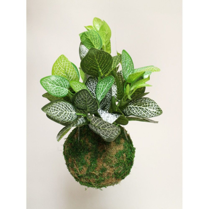 ККД34/179 Кокедама d-15 