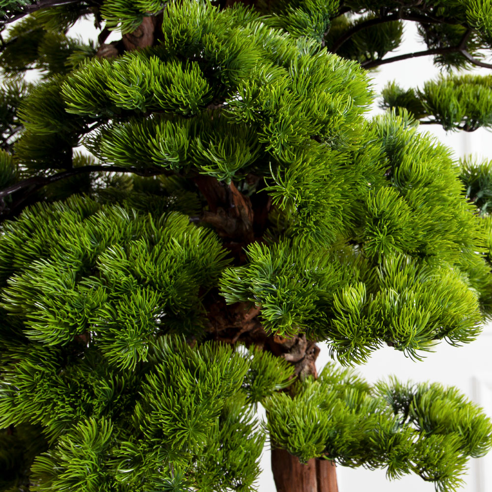 БС180/ОС/30(з)(F) Бонсай искусственный Сосна h180см_3