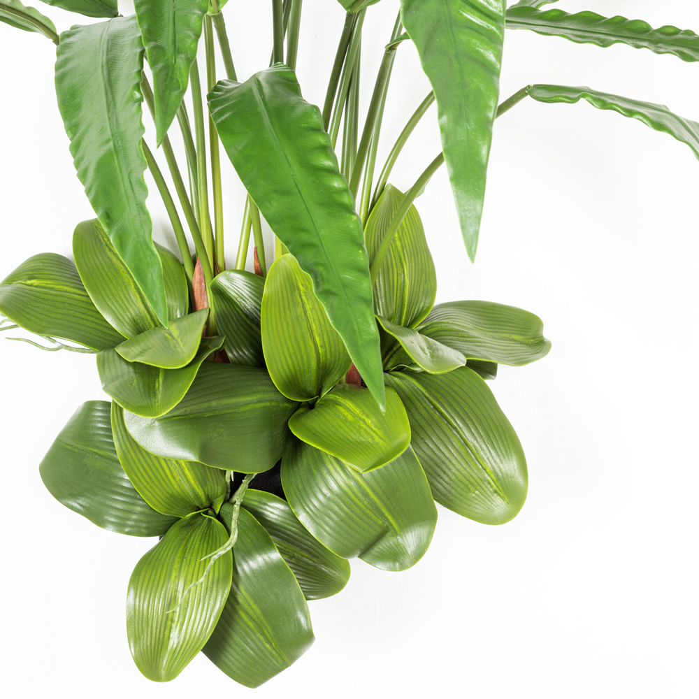 БК 21(Promo) Композиция с калатеей на блоке 15*h10см_7