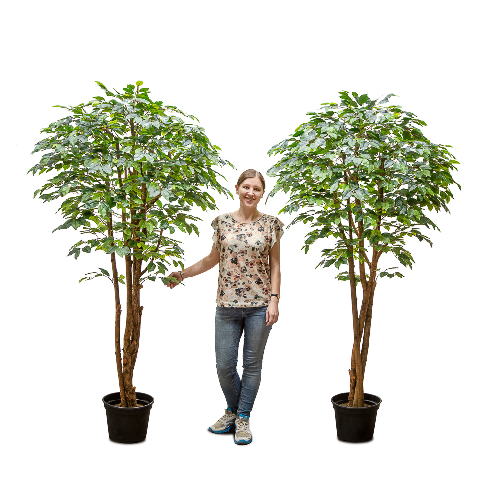 200/РН/34-2(з.)_1