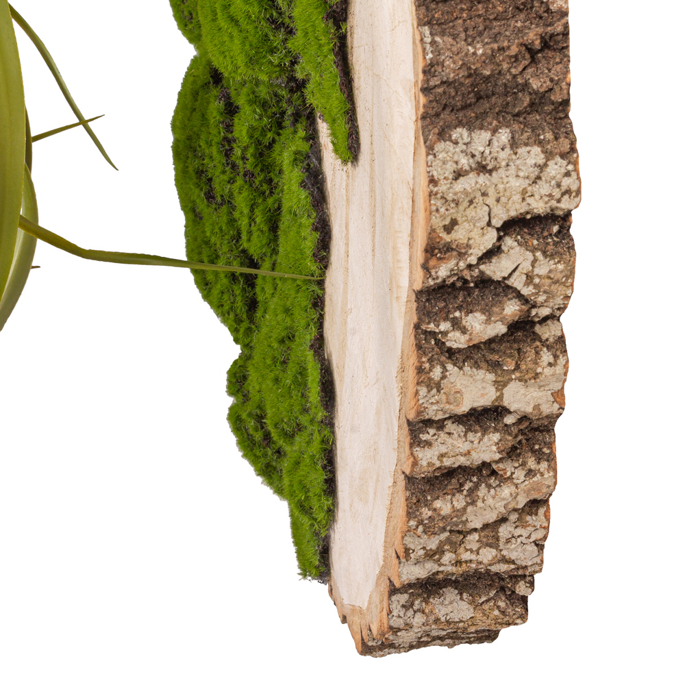 БК140/3 Композиция на березовом спиле d48-50см_2