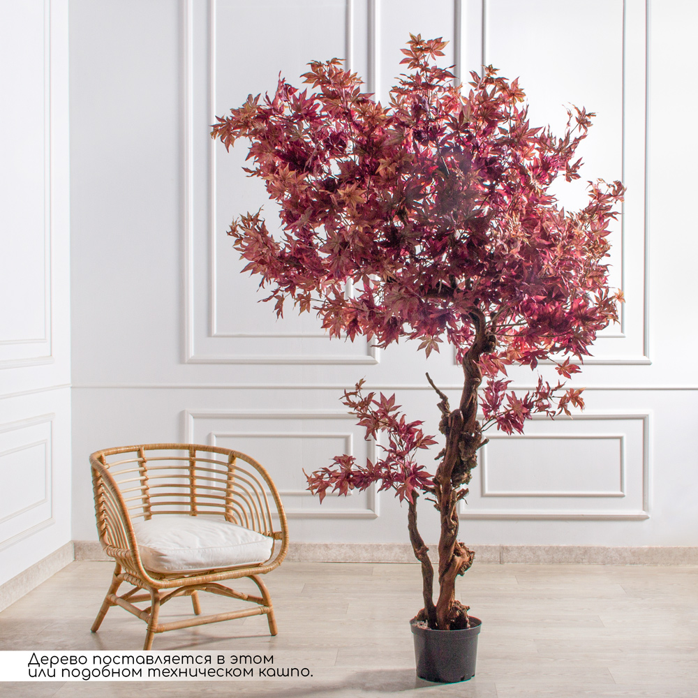 210/2К/ОС/606(Пр) Клен искусственный веерный  h210см (латекс)_3