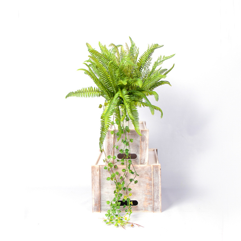 Кн15-3(з.) Папоротник ампельный h23см(силикон) в кашпо d11см