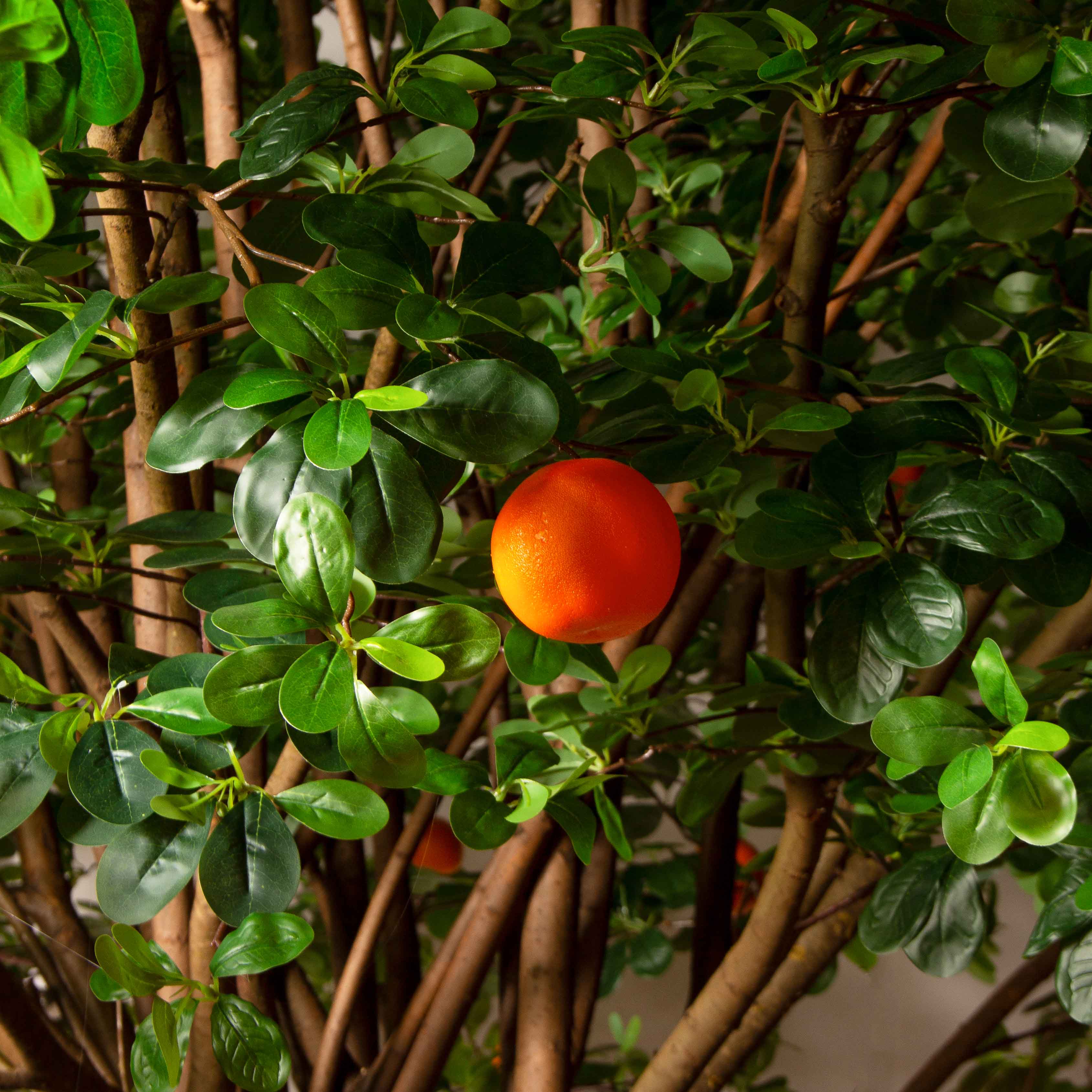 300/РН/84-1(з)(F) Шефлера искусственная h300см d330 на основании d75см, латекс_9