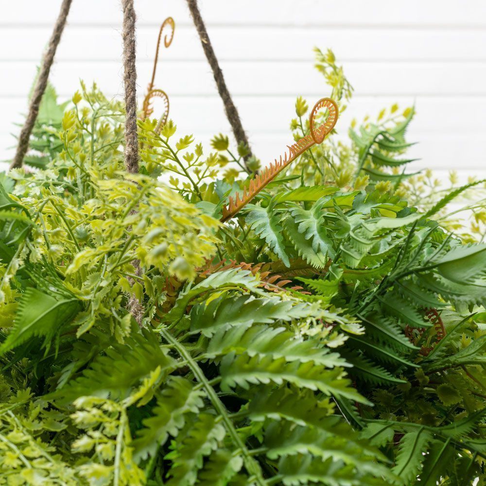 ККВ03(з.) Папоротники в коковите d-50см_2