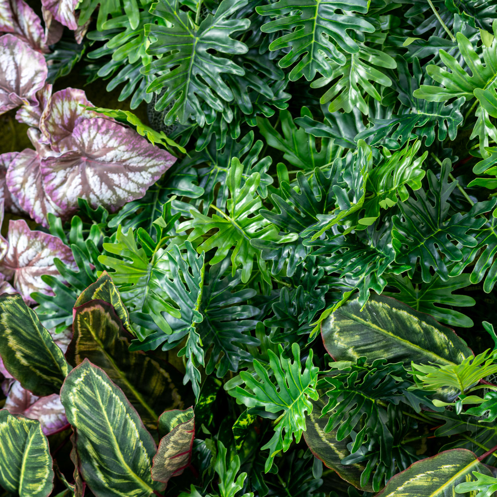 Фитостена 106_9