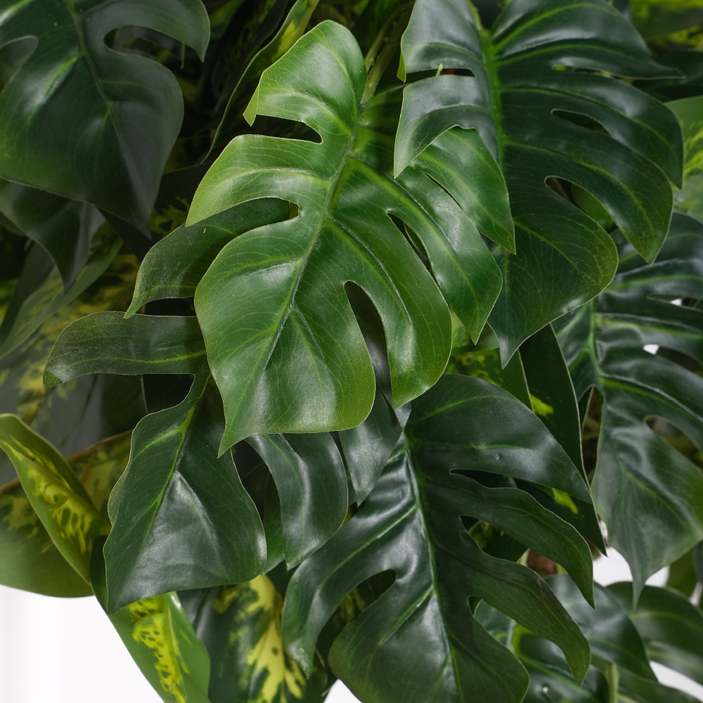 ККД45/67(F) Кокедама d20см 