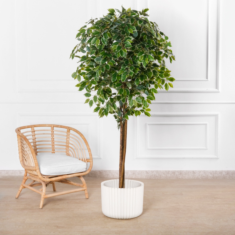 180/УК/23М(Пр)(F) Фикус Бенджамина Старлайт искусственный h180см_1