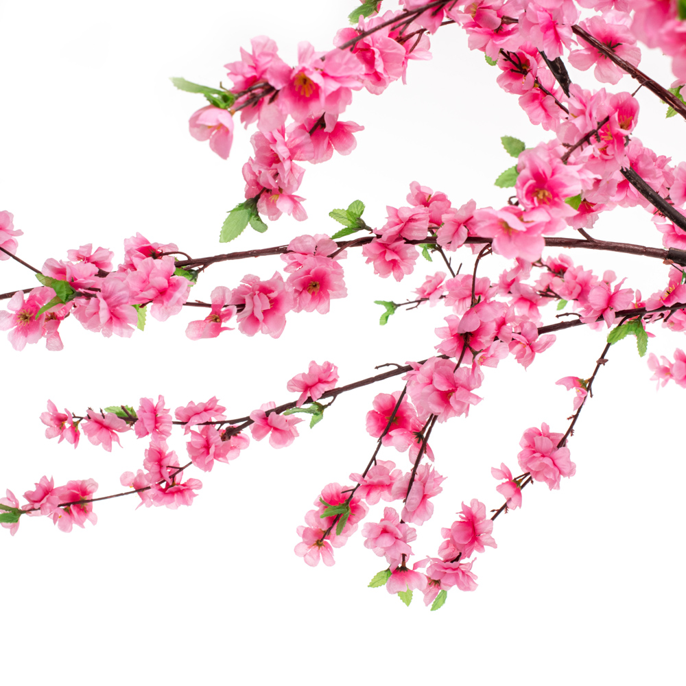 320разб/46-2/1_2