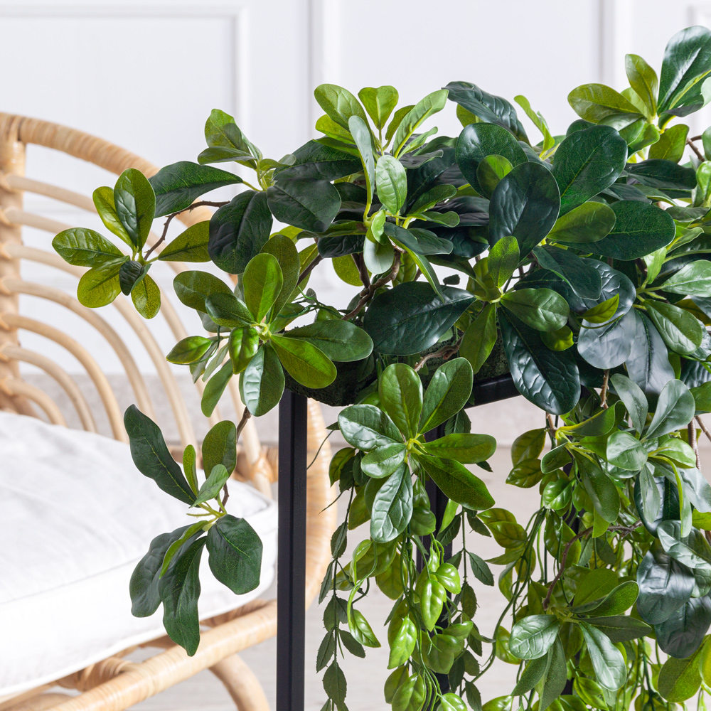 К310/6(з)(F) Композиция искусственная Шеффлера с ампельными растениями на основании 30х8х3см_2