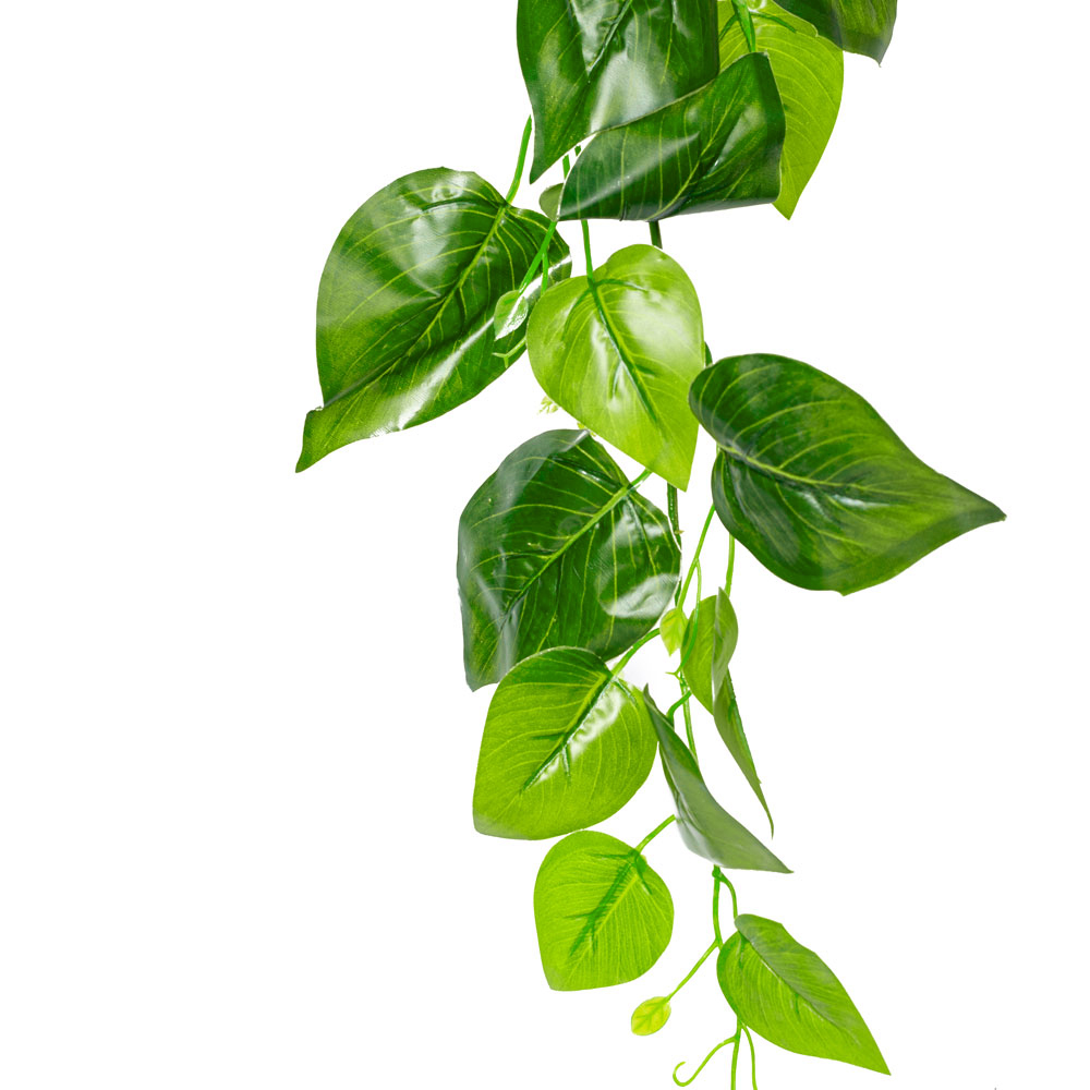 7144/0228-10Р Плющ сциндапсус *9в зеленый h100см(латекс)_2