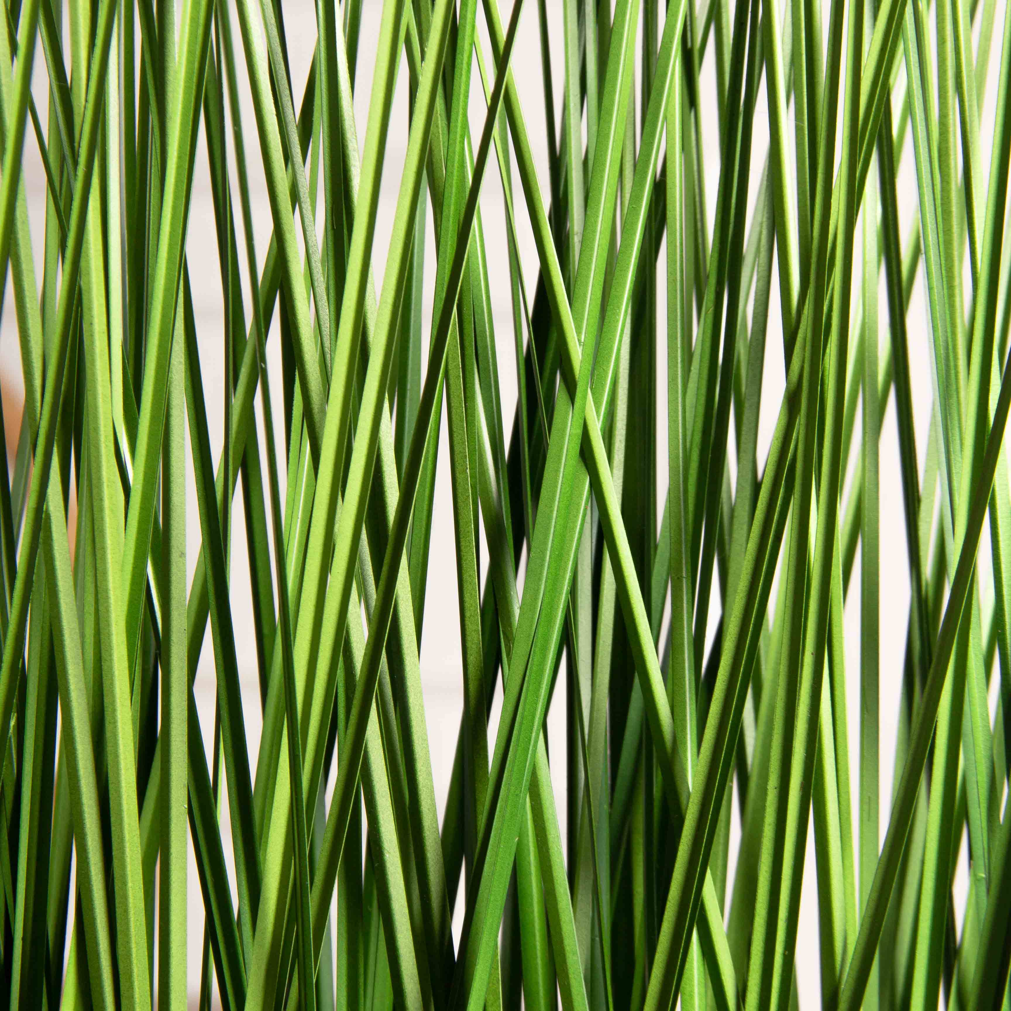 ТД019(Пр)(F) Трава Осока искусственная h40см в кокосовом боксе 25х8х8см_4