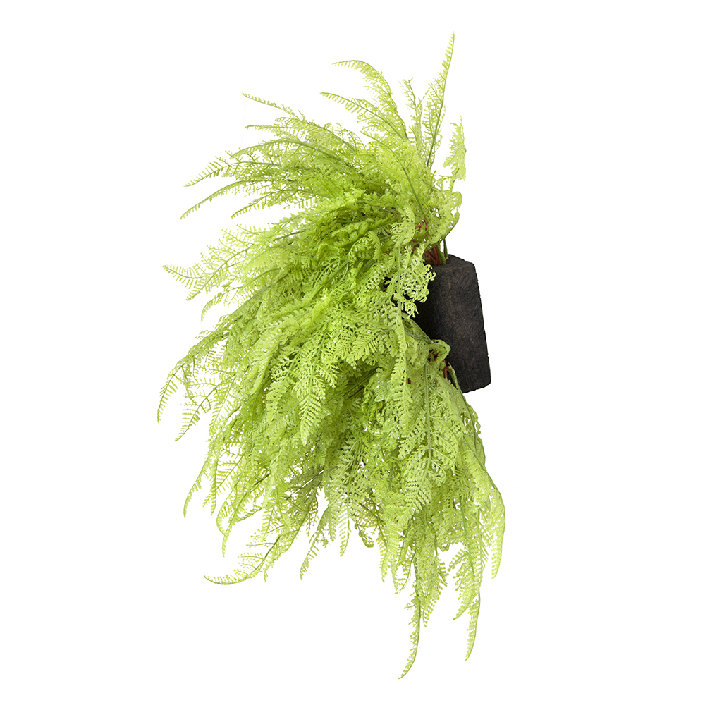 БК 11-1 Композиция с папоротником Давалия на блоке 15*h10_2