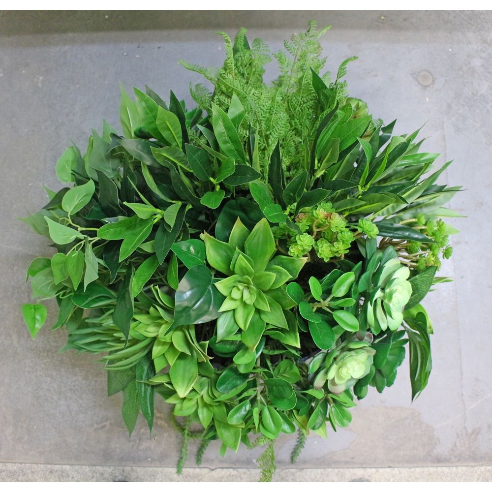 СКК13(з.) Композ. из суккулент. в кашпо d-33(d-40)_4