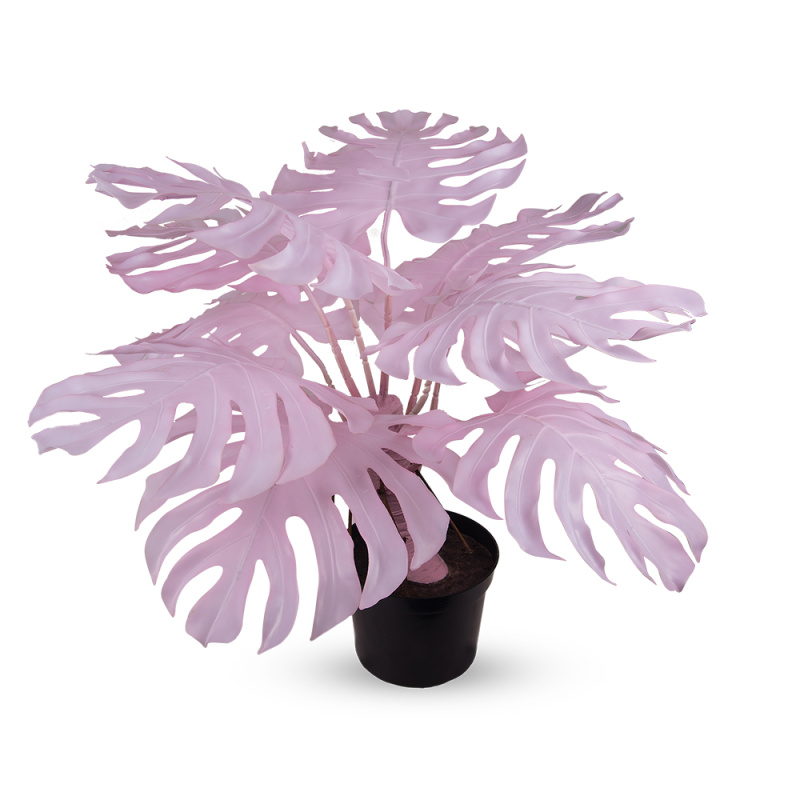 80/К/ССТ/371-2(з.) Монстера розовая на стволе h80см (латекс) _1