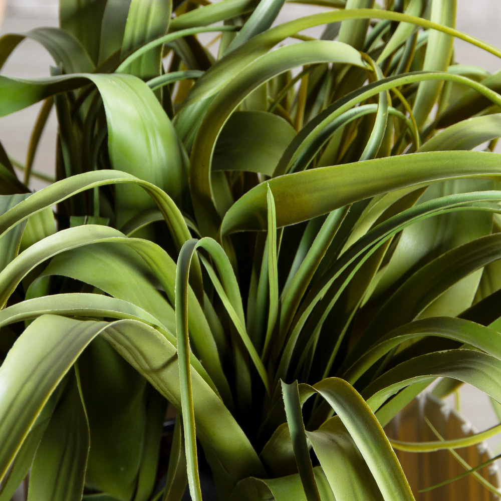 К571(з)(F) Композиция искусственная с тилландсией в кашпо_4