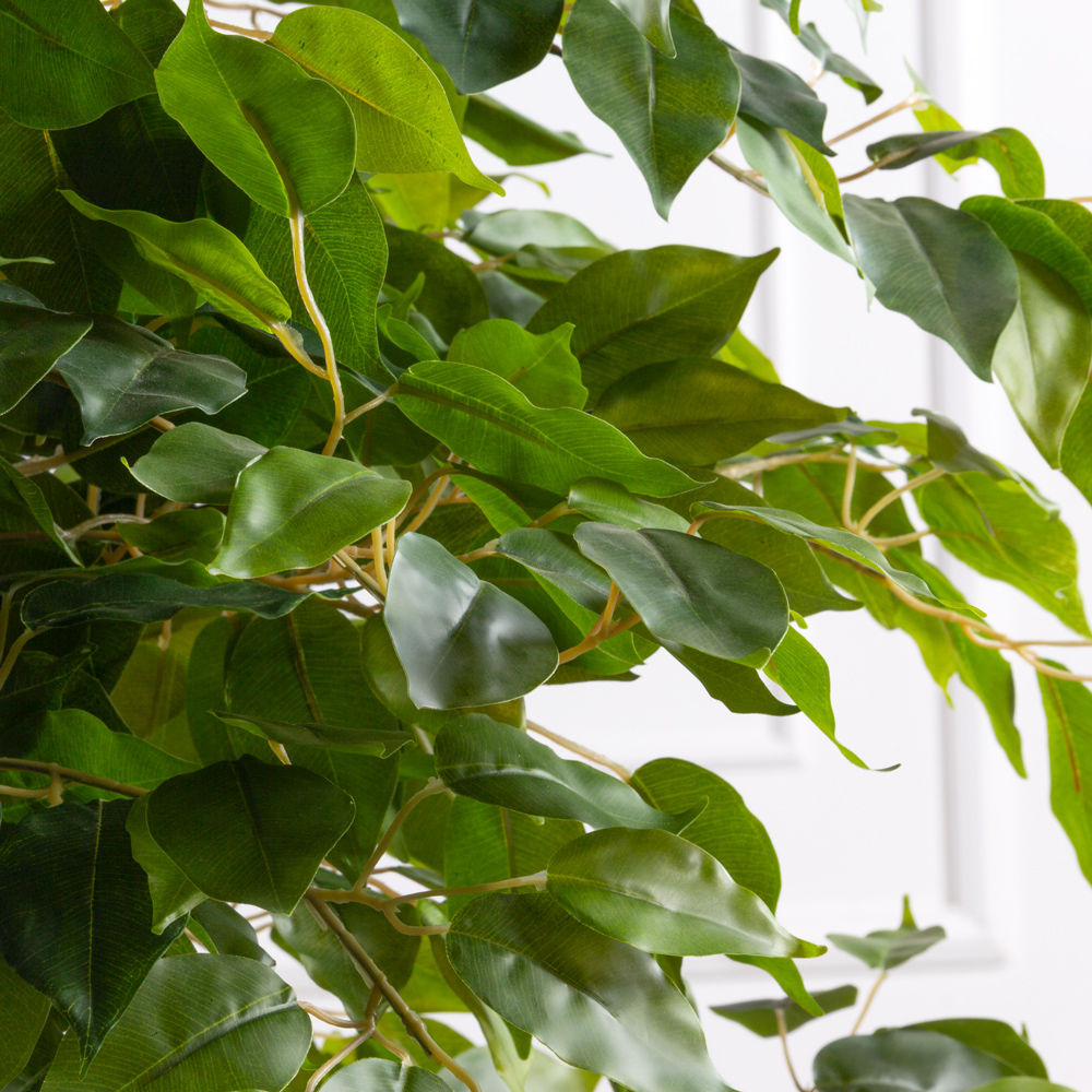 150/Я3/ОС/34(з)(F) Фикус искусственный h150см (латекс)_3