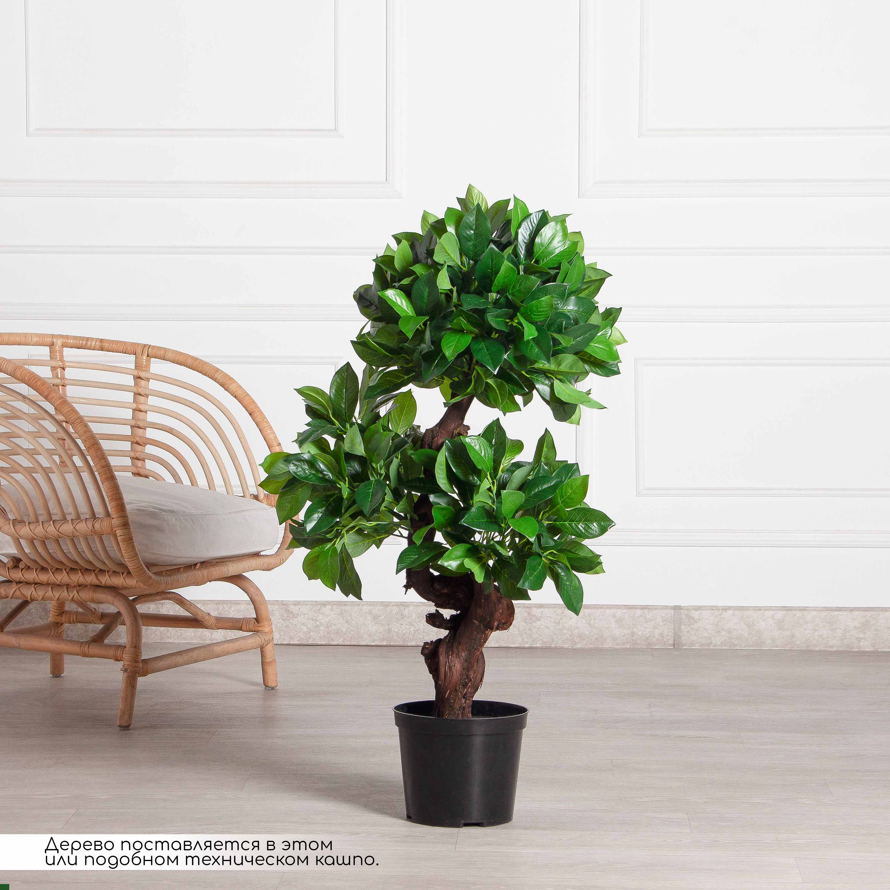 100/ОС/3К/190(F) Лавр искусственный камфорный h100см (латекс)_2