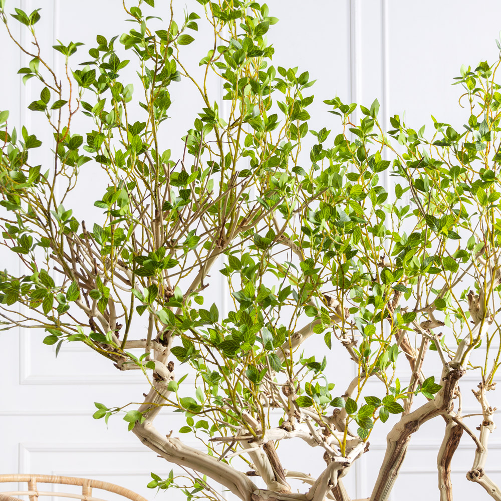 БЛ190/Д3/619(Пр)(F) Бонсай искусственный лиственный h190см_4