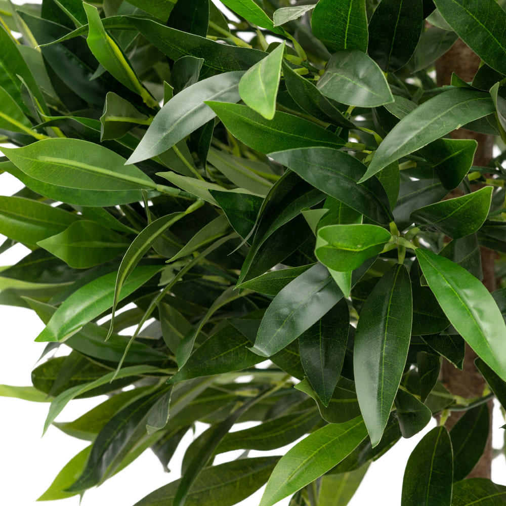 180/Ш/188 Лавр(латекс) 180см_2