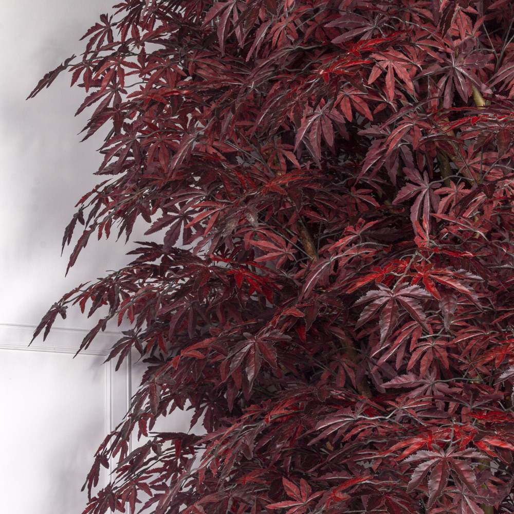 350/РН/400 Клен японский искусственный h350см (латекс) в кашпо, бордо_3