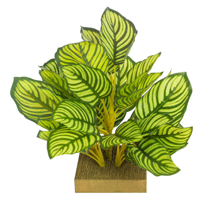 ВМ21/1(з.) Вставка с калатеей h32см, 12*12см (латекс)_4