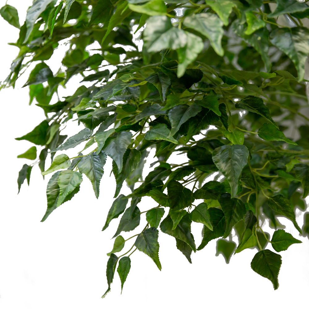 320/РН/12М(з.)_1