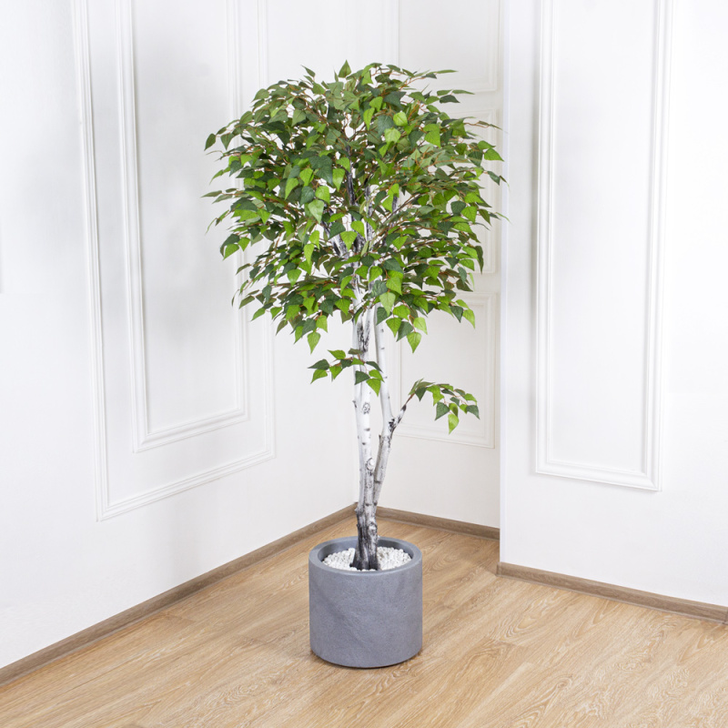 180/РПК/12М(з) Береза (зел.) 180см_3