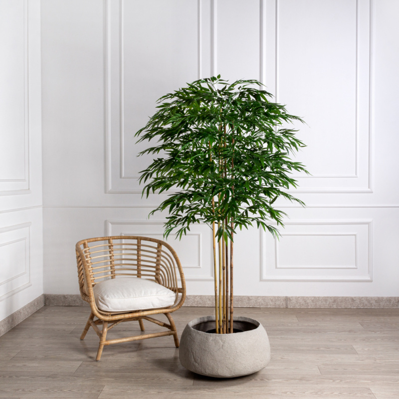 170/ШК/75-2(з)(Пр) Бамбук искусственный 5 стволов h170см