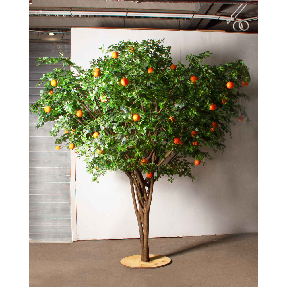 300/РН/84-1(з)(F) Шефлера искусственная h300см d330 на основании d75см, латекс_3