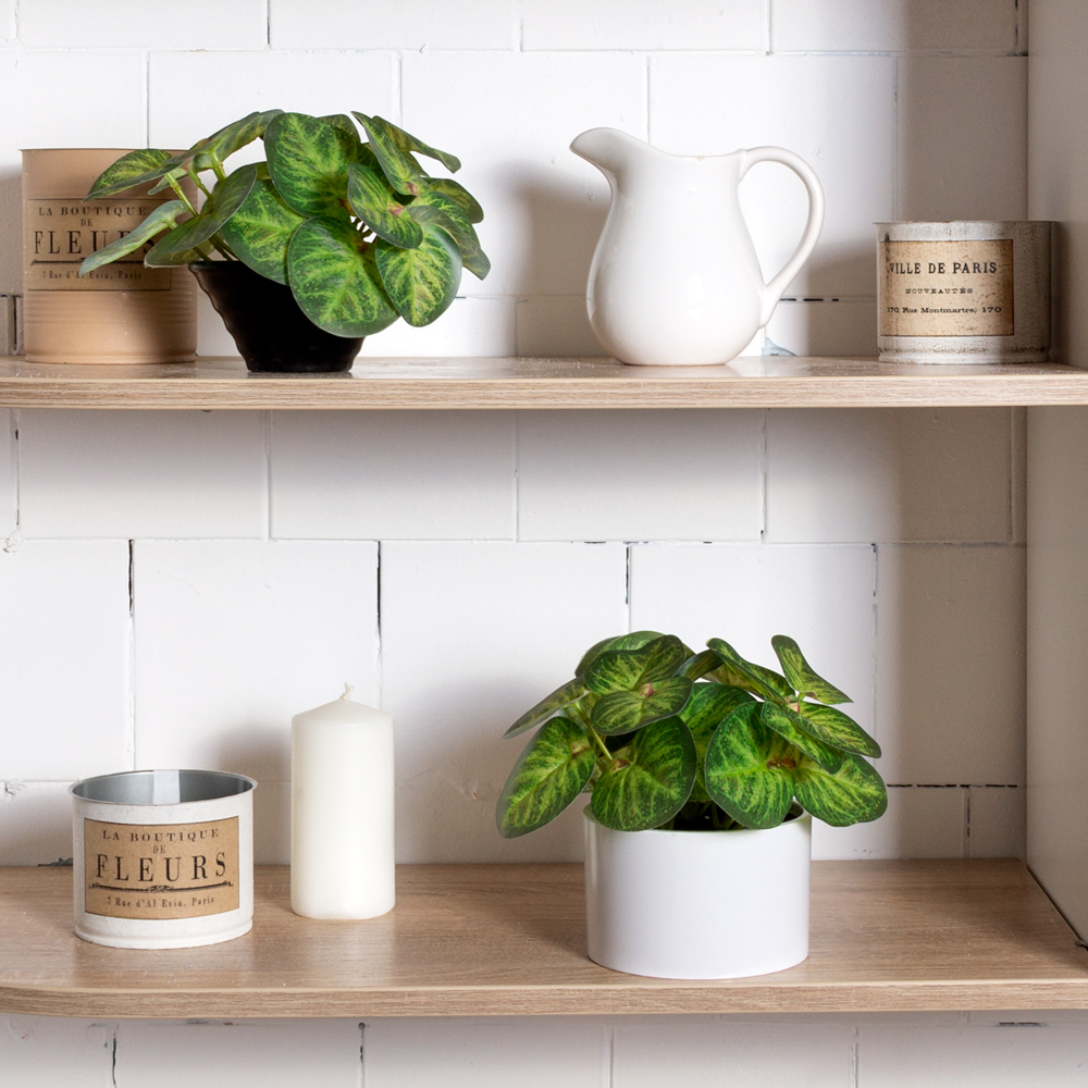 ЦС208-2(F) Пеперомия искусственная, зелёная_3