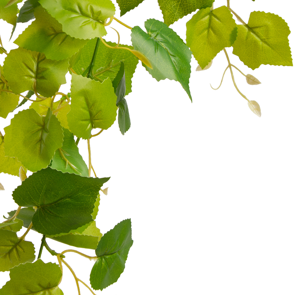 7144/0270-13 Плющ виноград *3 (мелкий лист) h68см_2