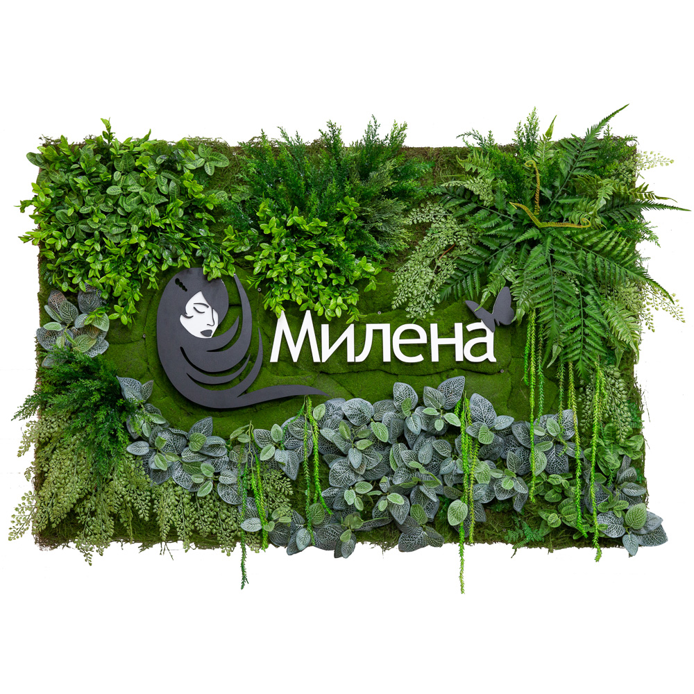 Фитокартина 82/1(з) в белой крашенной раме (1м*1м)_4