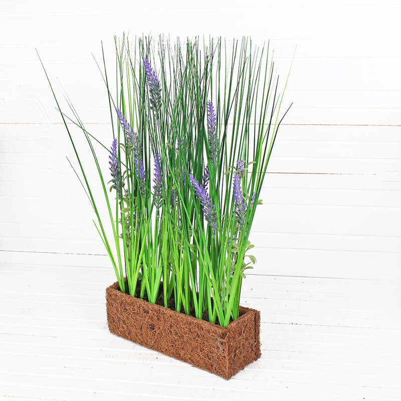 ТД056 Осока h-40cм лавандой в кокос.боксе (25х8х8)
